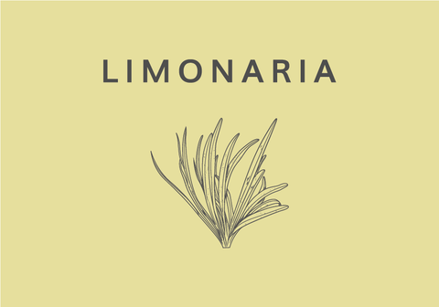 Línea corporal de Limonaria