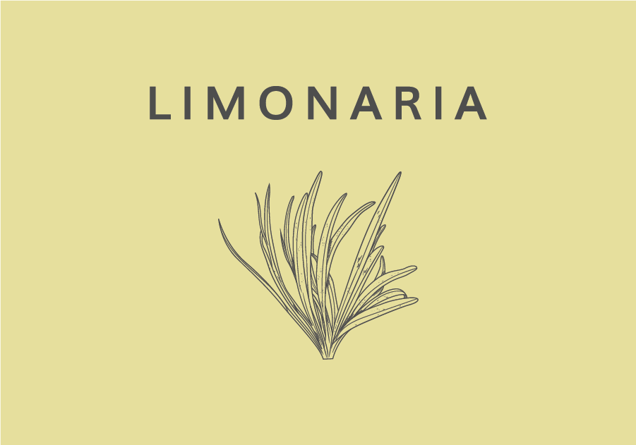 Línea corporal de Limonaria