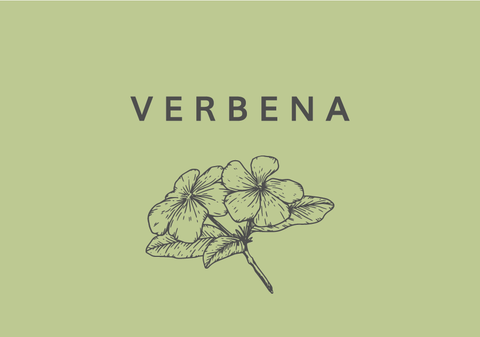 Línea corporal Verbena